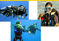 Scuba Dive Photo Collage