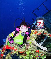 Anthony's Key Resort Diving photo