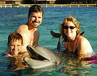 Anthony's Key Resort Dolphin Encounter photo