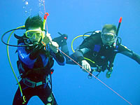 Castaway Island Resort Diving photo