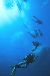 Habitat Curacao Diving