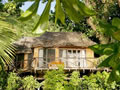 Matangi Island Resort photo 3